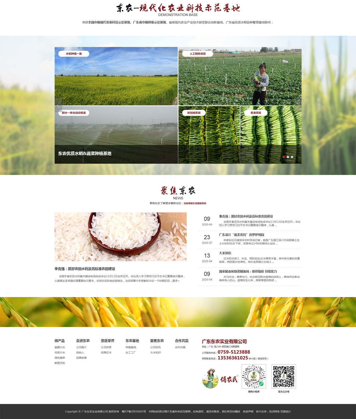 東農米業企業網站策劃設計圖